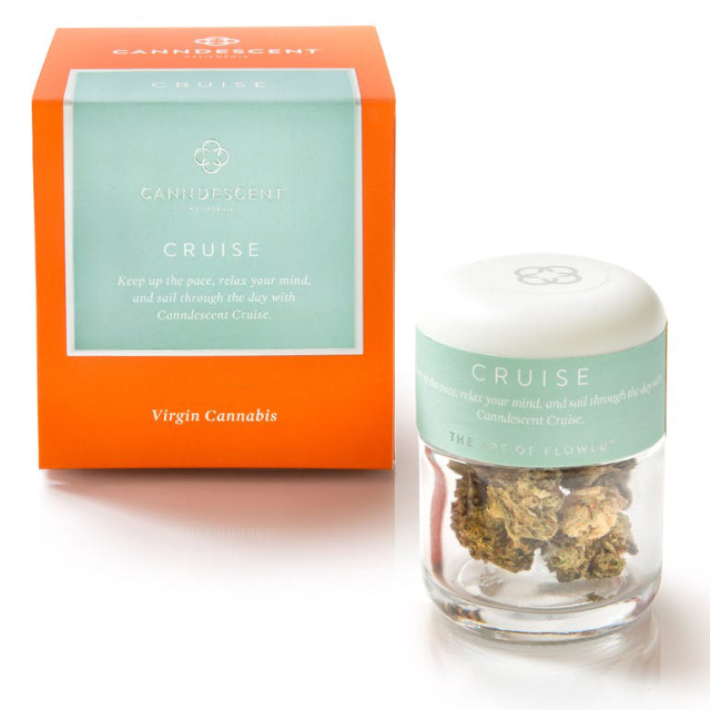 CRUISE 201 GRAM